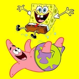 Meet your Posher, Brandt